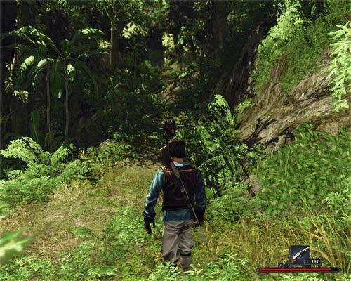 Kapitan nie ma ochoty odwiedzać doliny, więc do wioski poprowadzi Cię przełączą. - Przez przełęcz | Zadania - Wybrzeże Ostrzy | Risen 2 Mroczne Wody - Risen 2: Mroczne wody - poradnik do gry