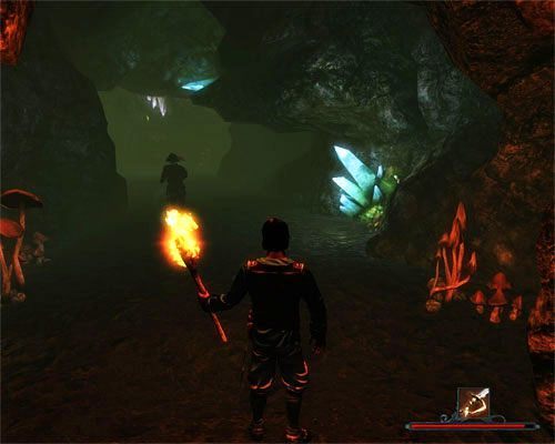 Pirat nie będzie zadowolony z faktu, że chcesz zwiedzić jaskinię, ale i tak posłusznie Cię przez nią przeprowadzi. - Statek Wrony | Zadania - Wybrzeże Ostrzy | Risen 2 Mroczne Wody - Risen 2: Mroczne wody - poradnik do gry