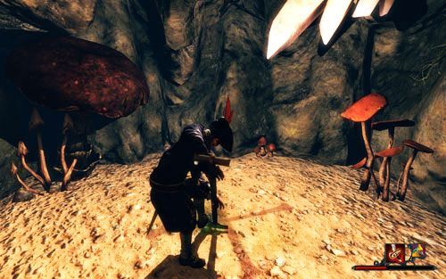 Bohater z łopatą. - Skarb w grocie na Antigui | Zadania - Antigua | Risen 2 Mroczne Wody - Risen 2: Mroczne wody - poradnik do gry