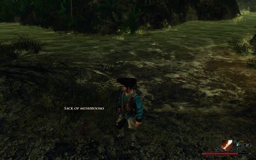 Pakunki znajdziesz nad rzeką. - Dostawa dla Wrony | Zadania - Wybrzeże Ostrzy | Risen 2 Mroczne Wody - Risen 2: Mroczne wody - poradnik do gry