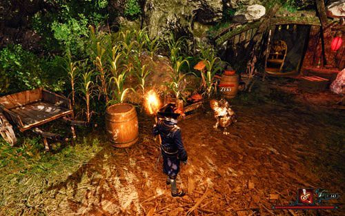 Gnomy to zaskakująco przyjazne stworzenia. - Porzucony | Zadania - Wyspa Złodziei | Risen 2 Mroczne Wody - Risen 2: Mroczne wody - poradnik do gry