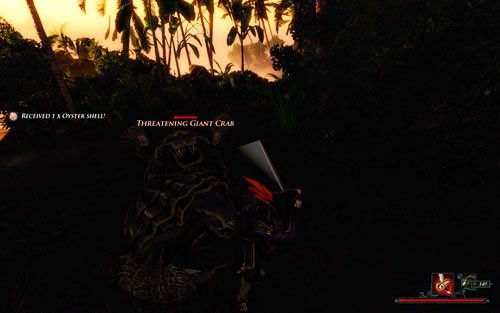 Widocznie zwykłe kraby są mniej groźne. - Zagubiony gnom | Zadania - Wyspa Złodziei | Risen 2 Mroczne Wody - Risen 2: Mroczne wody - poradnik do gry