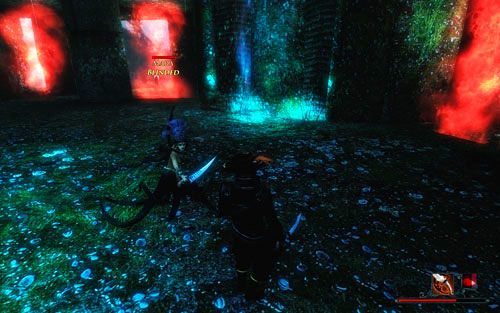 Podłe sztuczki działają bardzo krótko! - Świątynia Wody | Zadania - Świątynia Wody | Risen 2 Mroczne Wody - Risen 2: Mroczne wody - poradnik do gry