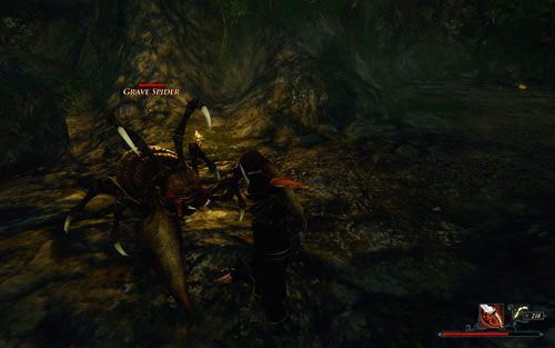 Walka z pająkiem to nie przelewki - dobrze się przygotuj! - Skarb Garcii | Zadania - Zatoka Marakajów | Risen 2 Mroczne Wody - Risen 2: Mroczne wody - poradnik do gry