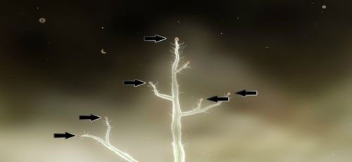 Grę rozpoczyna filmik, który zatrzymuje się na kadrze przedstawionym na powyższej ilustracji - Botanicula - poradnik do gry