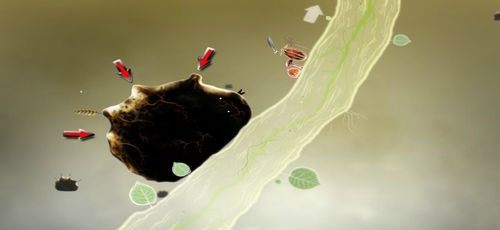 Grę rozpoczynamy od lokacji, gdzie znajduje się stworek, któremu brakuje trzech piórek (powinny się znaleźć w miejscach wskazanych przez czerwone strzałki na powyższej ilustracji) by mógł odlecieć, a tym samym umożliwić nam zejście na dół - Etap pierwszy - piórka | Opis przejścia - Botanicula - Botanicula - poradnik do gry