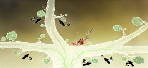 Choć w tej lokacji nie znajdziemy nic, co potrzebne jest nam do odnalezienia piór, to możemy tu odblokować kilka kart-znajdziek - Etap pierwszy - piórka | Opis przejścia - Botanicula - Botanicula - poradnik do gry