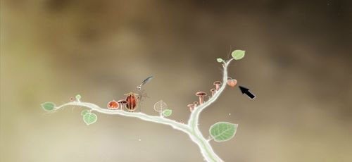 Gdy tu przybędziemy, kliknijmy na kokon a następnie wyjdźmy i wróćmy za moment do tego miejsca - Etap pierwszy - piórka | Opis przejścia - Botanicula - Botanicula - poradnik do gry