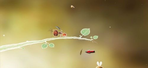 By zdobyć ostatnie z piórek (czerwona strzałka), musimy je jedynie kliknąć - dzięki temu możemy odblokować przejście w lokacji początkowej - Etap pierwszy - piórka | Opis przejścia - Botanicula - Botanicula - poradnik do gry