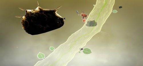 Gdy klikniemy stworka, piórka automatycznie wrócą na swoje miejsce - Etap pierwszy - piórka | Opis przejścia - Botanicula - Botanicula - poradnik do gry