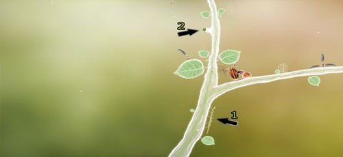 Po kliknięciu patyczaka (1) cztery razy, a także po naduszeniu na zieloną kulkę (2), pozyskamy [KARTA nr 25] i [KARTA nr 26] - Etap drugi - klucze | Opis przejścia - Botanicula - Botanicula - poradnik do gry