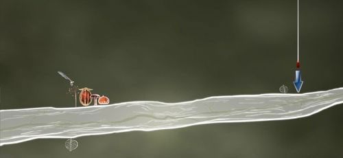 Prezent - Etap trzeci - życzenia | Opis przejścia - Botanicula - Botanicula - poradnik do gry