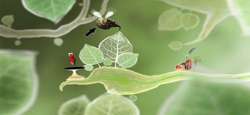 Mińmy wiszącego, czarnego stwora, aż dojdziemy do ślimaka - Etap czwarty - kasztanki | Opis przejścia - Botanicula - Botanicula - poradnik do gry