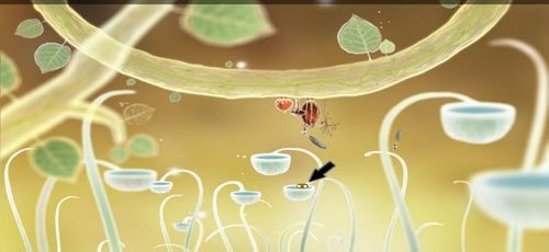 Po czterokrotnym kliknięciu żabki, skoczy ona na wyższą gałąź razem z trzema innymi - Etap czwarty - kasztanki | Opis przejścia - Botanicula - Botanicula - poradnik do gry