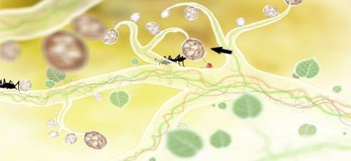 Klikamy na owoc, co spowoduje, że jedna z mrówek porwie Pana Latarnię - Etap piąty - kurczaki (1) | Opis przejścia - Botanicula - Botanicula - poradnik do gry