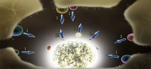 Gdy tylko wyjdziemy z tunelu, wielka świecąca kula przyciągnie nas jak magnes - Etap szósty - symbole żywiołów (1) | Opis przejścia - Botanicula - Botanicula - poradnik do gry