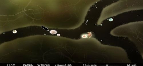 Po kliknięciu na jedną z roślin, z góry przyjdzie rodzic spotkanego dopiero co dziecka i zerwie go - Etap szósty - symbole żywiołów (1) | Opis przejścia - Botanicula - Botanicula - poradnik do gry