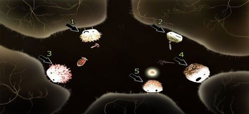 Napotkamy tutaj gąbki, które po kliknięciu w odpowiedniej kolejności (ilustracja), zaczną śpiewać - Etap szósty - symbole żywiołów (1) | Opis przejścia - Botanicula - Botanicula - poradnik do gry