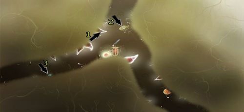 By zdobyć [KARTA nr 93], a także jeden z kryształów, klikamy na grzybka (1), by wyleciały z niego muszki - Etap szósty - symbole żywiołów (1) | Opis przejścia - Botanicula - Botanicula - poradnik do gry