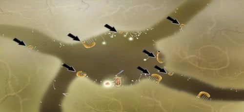 Powinniśmy znajdować się w miejscu zobrazowanym powyżej - Etap szósty - symbole żywiołów (1) | Opis przejścia - Botanicula - Botanicula - poradnik do gry