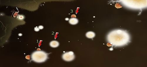 By przedostać się w prawo, będziemy musieli w odpowiedniej kolejności przestawić owieczki - Etap szósty - symbole żywiołów (1) | Opis przejścia - Botanicula - Botanicula - poradnik do gry