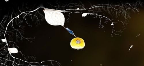 Gdy odpowiednio przeciągniemy mackę z okiem, przyczepi się ona do naszego stwora - Etap szósty - symbole żywiołów (2) | Opis przejścia - Botanicula - Botanicula - poradnik do gry