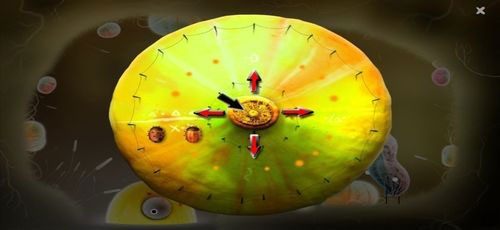 By sterować żuczkiem w trakcie wyścigu, musimy kliknąć owoc, a następnie kierować nim w stronę (czerwone strzałki), w którą ma pójść nasz żuczek - Etap szósty - symbole żywiołów (2) | Opis przejścia - Botanicula - Botanicula - poradnik do gry