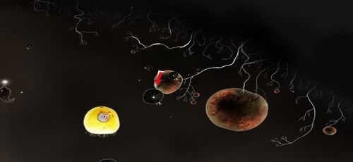 Gdy zdobędziemy kask, wróćmy do lokacji zilustrowanej powyżej (na lewo) - Etap szósty - symbole żywiołów (2) | Opis przejścia - Botanicula - Botanicula - poradnik do gry