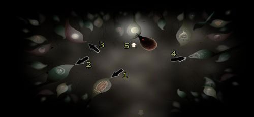 Lokacja nr 3 - Etap siódmy - nasionka | Opis przejścia - Botanicula - Botanicula - poradnik do gry