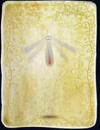 [KARTA nr 6] - Etap I - piórka | Lista kart - Botanicula - Botanicula - poradnik do gry