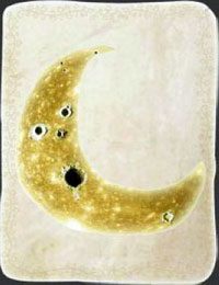 [KARTA nr 33] - Etap III - życzenia | Lista kart - Botanicula - Botanicula - poradnik do gry