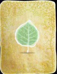 [KARTA nr 40] - Etap IV - kasztanki | Lista kart - Botanicula - Botanicula - poradnik do gry