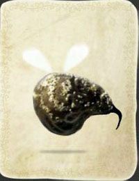 [KARTA nr 43] - Etap IV - kasztanki | Lista kart - Botanicula - Botanicula - poradnik do gry