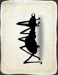 [KARTA nr 57] - Etap V - kurczaki | Lista kart - Botanicula - Botanicula - poradnik do gry