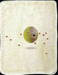 [KARTA nr 63] - Etap V - kurczaki | Lista kart - Botanicula - Botanicula - poradnik do gry