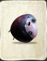 [KARTA nr 68] - Etap V - kurczaki | Lista kart - Botanicula - Botanicula - poradnik do gry