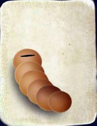 [KARTA nr 87] - Etap VI - symbole żywiołów (1) | Lista kart - Botanicula - Botanicula - poradnik do gry