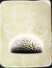 [KARTA nr 90] - Etap VI - symbole żywiołów (1) | Lista kart - Botanicula - Botanicula - poradnik do gry