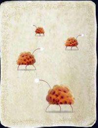 [KARTA nr 96] - Etap VI - symbole żywiołów (1) | Lista kart - Botanicula - Botanicula - poradnik do gry