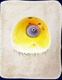 [KARTA nr 97] - Etap VI - symbole żywiołów (1) | Lista kart - Botanicula - Botanicula - poradnik do gry