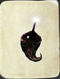 [KARTA nr 98] - Etap VI - symbole żywiołów (1) | Lista kart - Botanicula - Botanicula - poradnik do gry