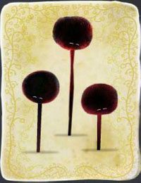 [KARTA nr 16] - Etap II - klucze | Lista kart - Botanicula - Botanicula - poradnik do gry