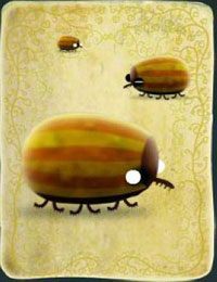 [KARTA nr 23] - Etap II - klucze | Lista kart - Botanicula - Botanicula - poradnik do gry