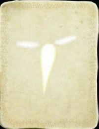 [KARTA nr 27] - Etap II - klucze | Lista kart - Botanicula - Botanicula - poradnik do gry