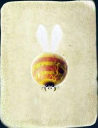 [KARTA nr 29] - Etap II - klucze | Lista kart - Botanicula - Botanicula - poradnik do gry