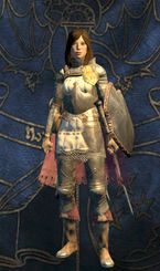 Fighter - Klasy w Dragons Dogma | Postać i rozwój - Dragons Dogma - poradnik do gry