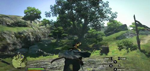 Kwiaty typu Sunbright znajdziemy za dnia na terenie przed wioską, w pobliżu dużych drzew (te z wyraźnie grubszymi pniami) - Floral Delivery | Akt 1 (ZP) w Dragons Dogma - Dragons Dogma - poradnik do gry