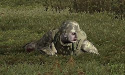 ZED CRAWLER - DayZ: Zombie - odmiany - DayZ - poradnik do gry