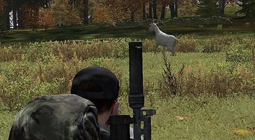 Po pierwsze będziesz musiał upolować jakąś zwierzynę - DayZ: Głód - jak zaspokoić? - DayZ - poradnik do gry