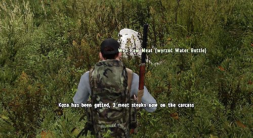 Po upolowaniu zwierzaka na jego zwłokach pojawi się opcja Gut animal - DayZ: Głód - jak zaspokoić? - DayZ - poradnik do gry